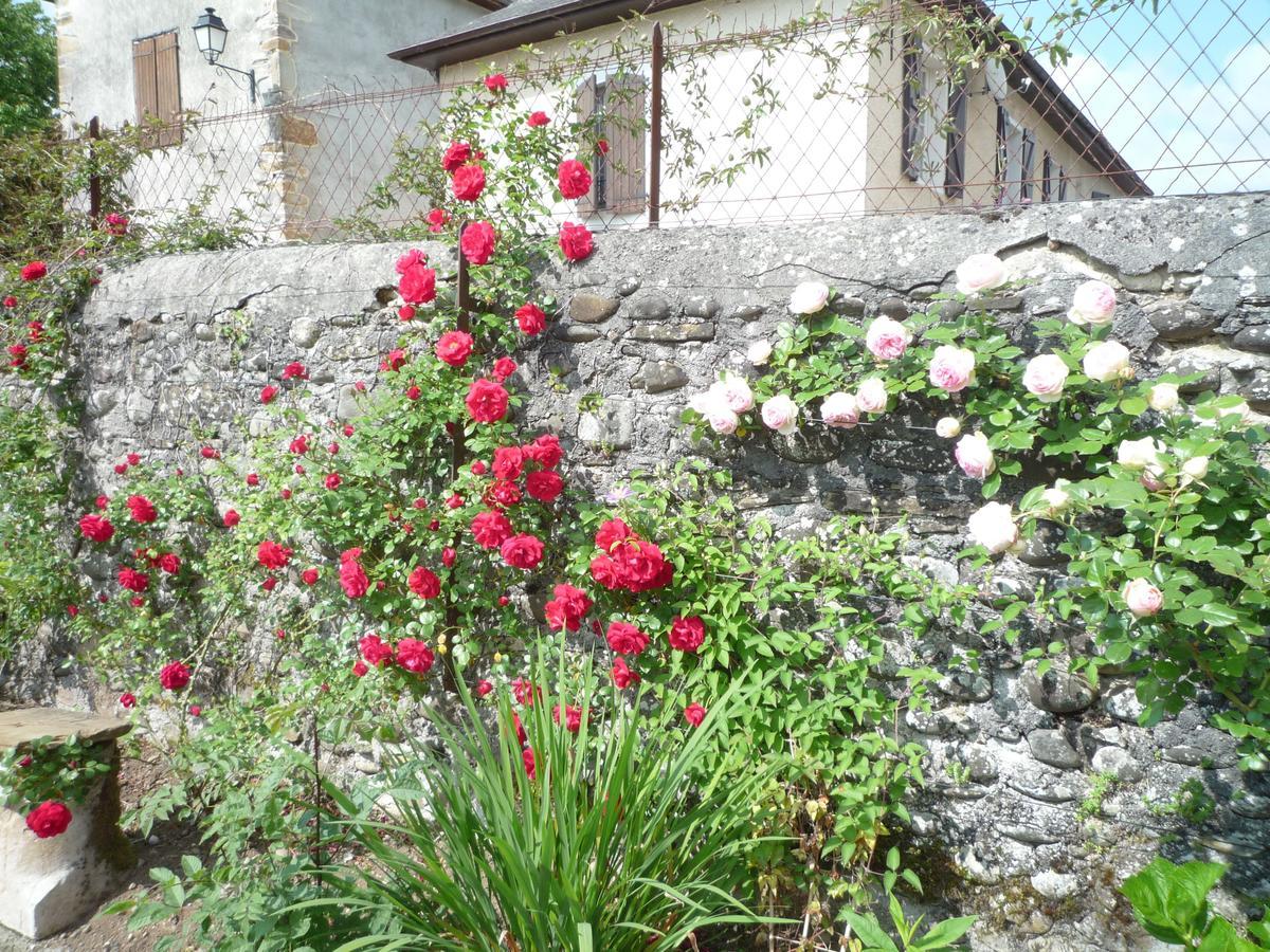 Bearn Bed & Breakfast Pau Εξωτερικό φωτογραφία